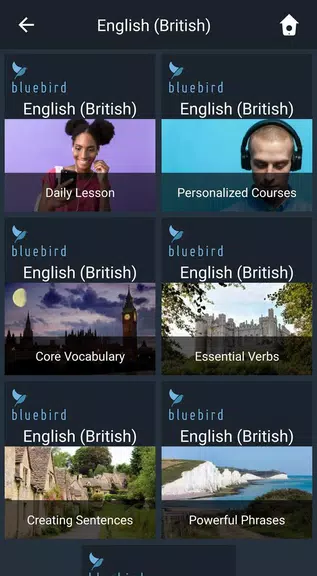 Learn British English. Speak B স্ক্রিনশট 0