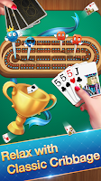 Cribbage - Card Game 螢幕截圖 1