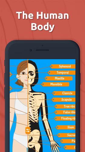 Human Anatomy - Body parts Screenshot 0