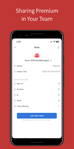 Team VPN স্ক্রিনশট 2