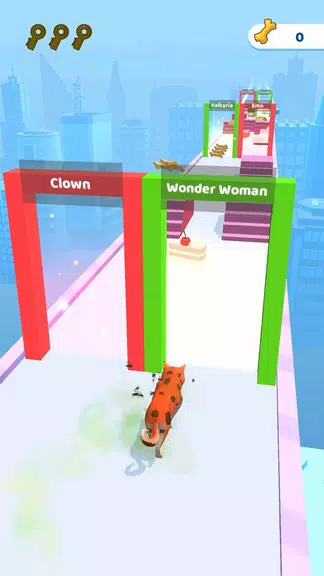 Groomer run 3D应用截图第0张