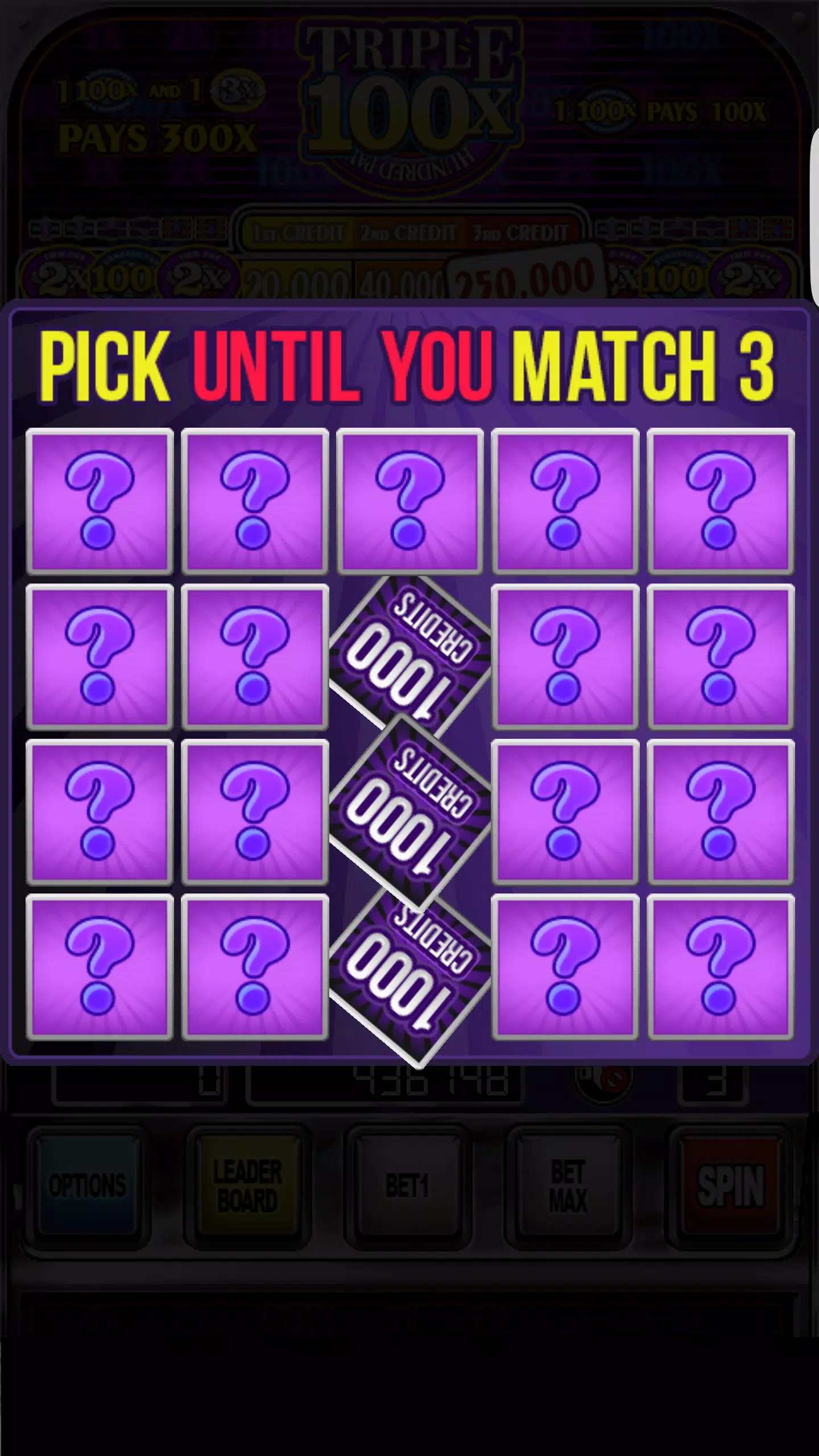 Double Wild Slots ဖန်သားပြင်ဓာတ်ပုံ 3