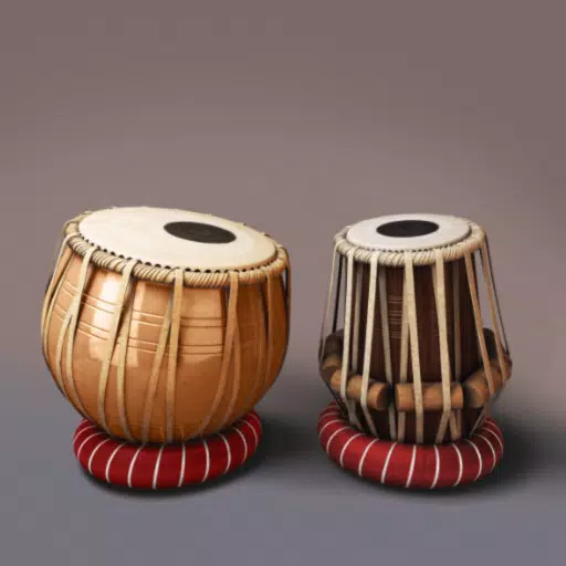 Tabla: indiens trommeln