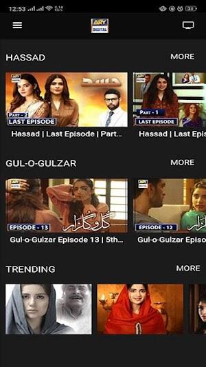 ARY DIGITAL Screenshot 3