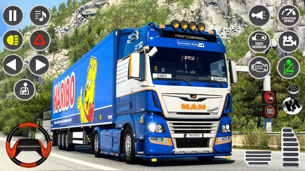 Real Truck Parking Truck Drive 螢幕截圖 2