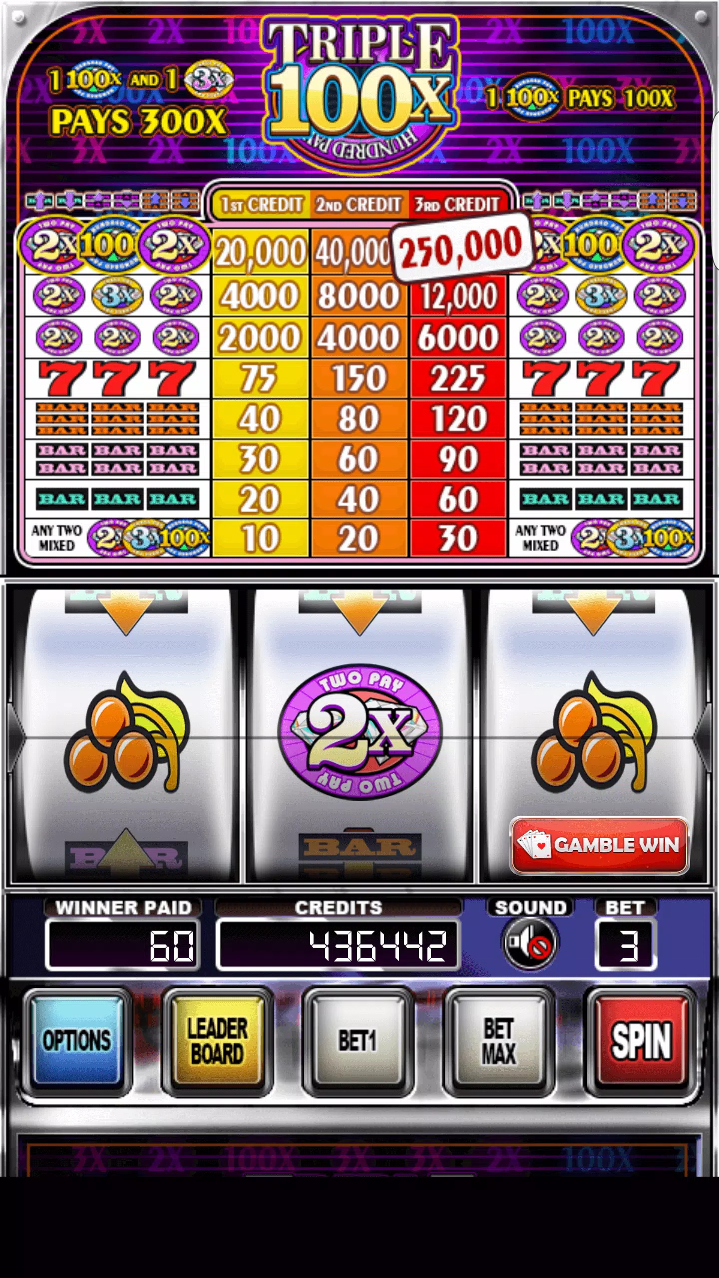 Double Wild Slots ဖန်သားပြင်ဓာတ်ပုံ 1