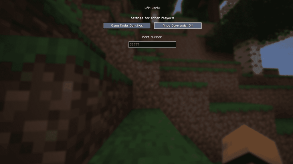 Minecraft เปิดสู่ LAN Screen Java Edition