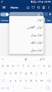 English Urdu Dictionary Capture d'écran 3