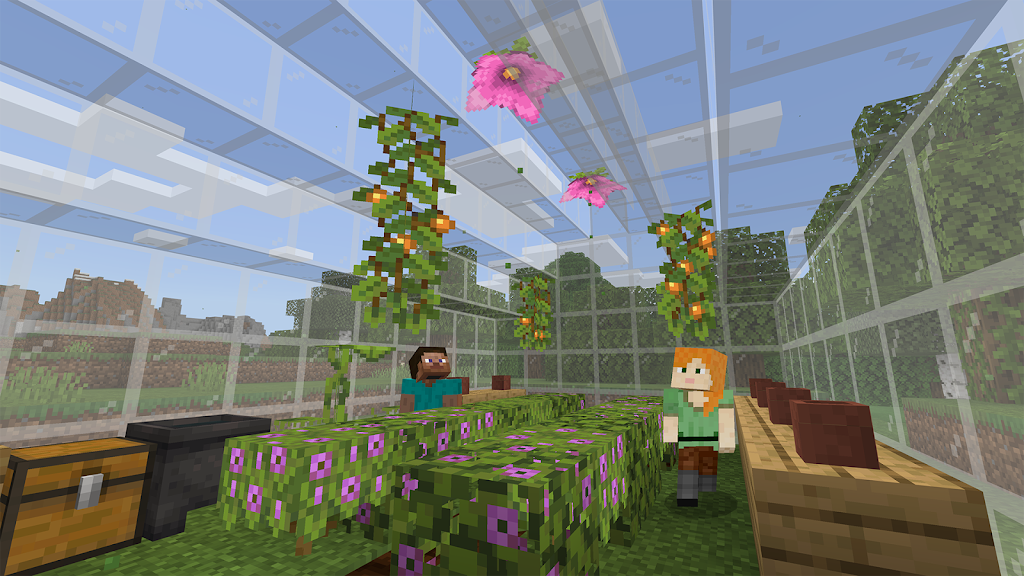 Minecraft Education Preview Screenshot 1