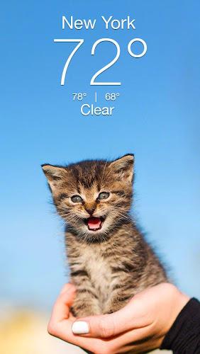 Weather Kitty - App & Widget Tangkapan skrin 0