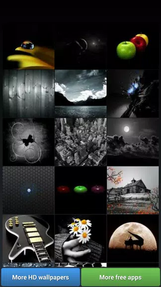 Black Theme HD Wallpapers 螢幕截圖 1