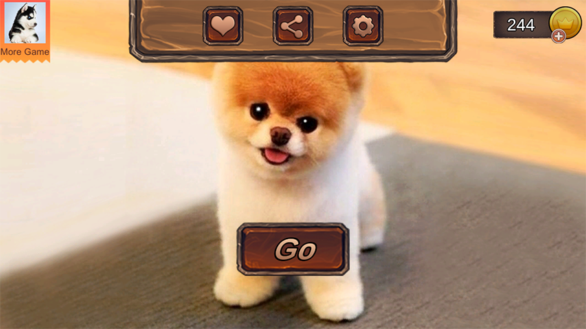 Pomeranian Dog Simulator স্ক্রিনশট 0