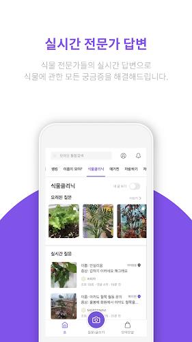 모야모 Screenshot 3