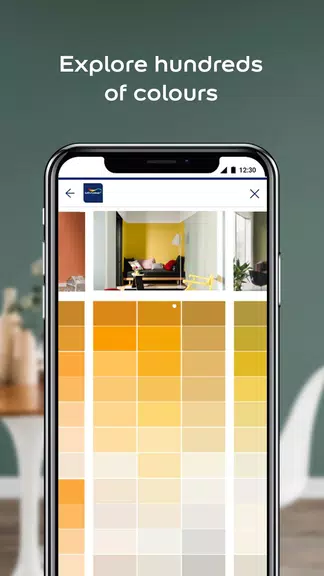 Dulux Visualizer PK Captura de tela 1