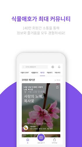 모야모 螢幕截圖 2