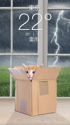 Weather Kitty - App & Widget 스크린샷 3