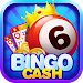 Bingo - Cash Win Real Money