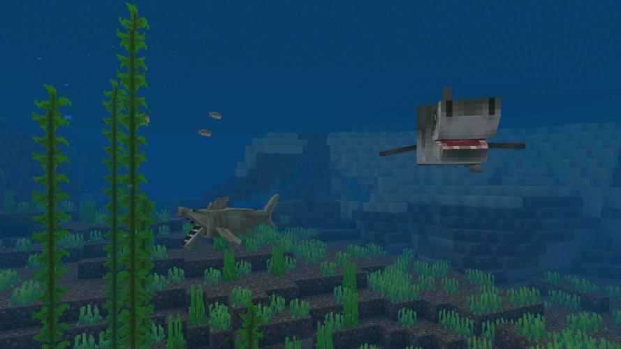 CraftyCraft: Adventure スクリーンショット 0