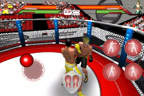Virtual Boxing 螢幕截圖 0