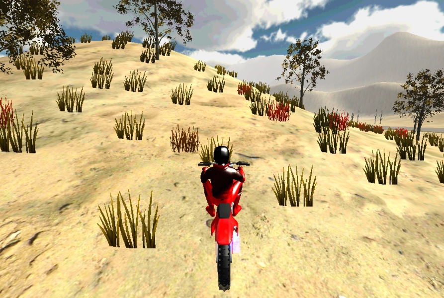 Schermata Mountain Bike 3D 1