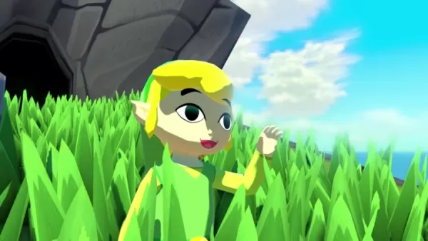 Ang wind waker hd switch 2 port ay 'nasa mesa' pa rin '