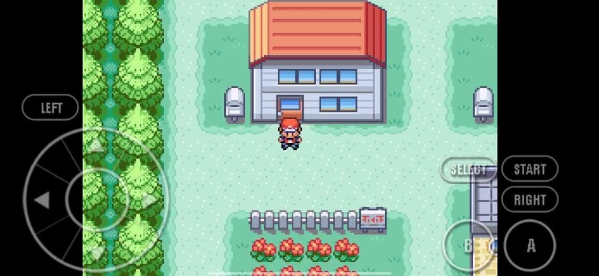 Pokemon Fire Red Скриншот 0