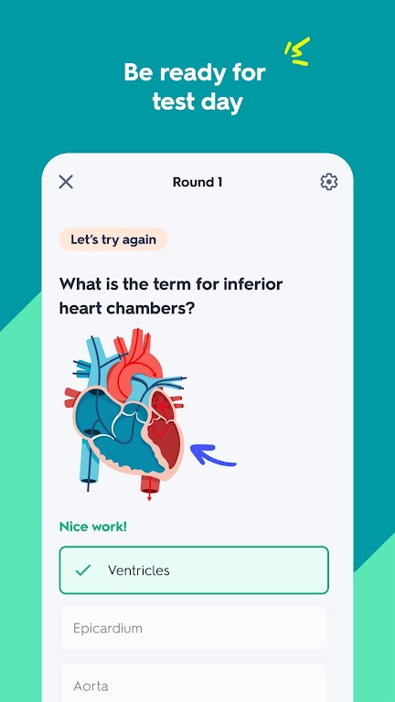 Quizlet: AI-powered Flashcards Mod Tangkapan skrin 2