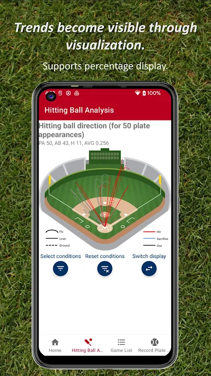 Batting STATS Manager Screenshot 2