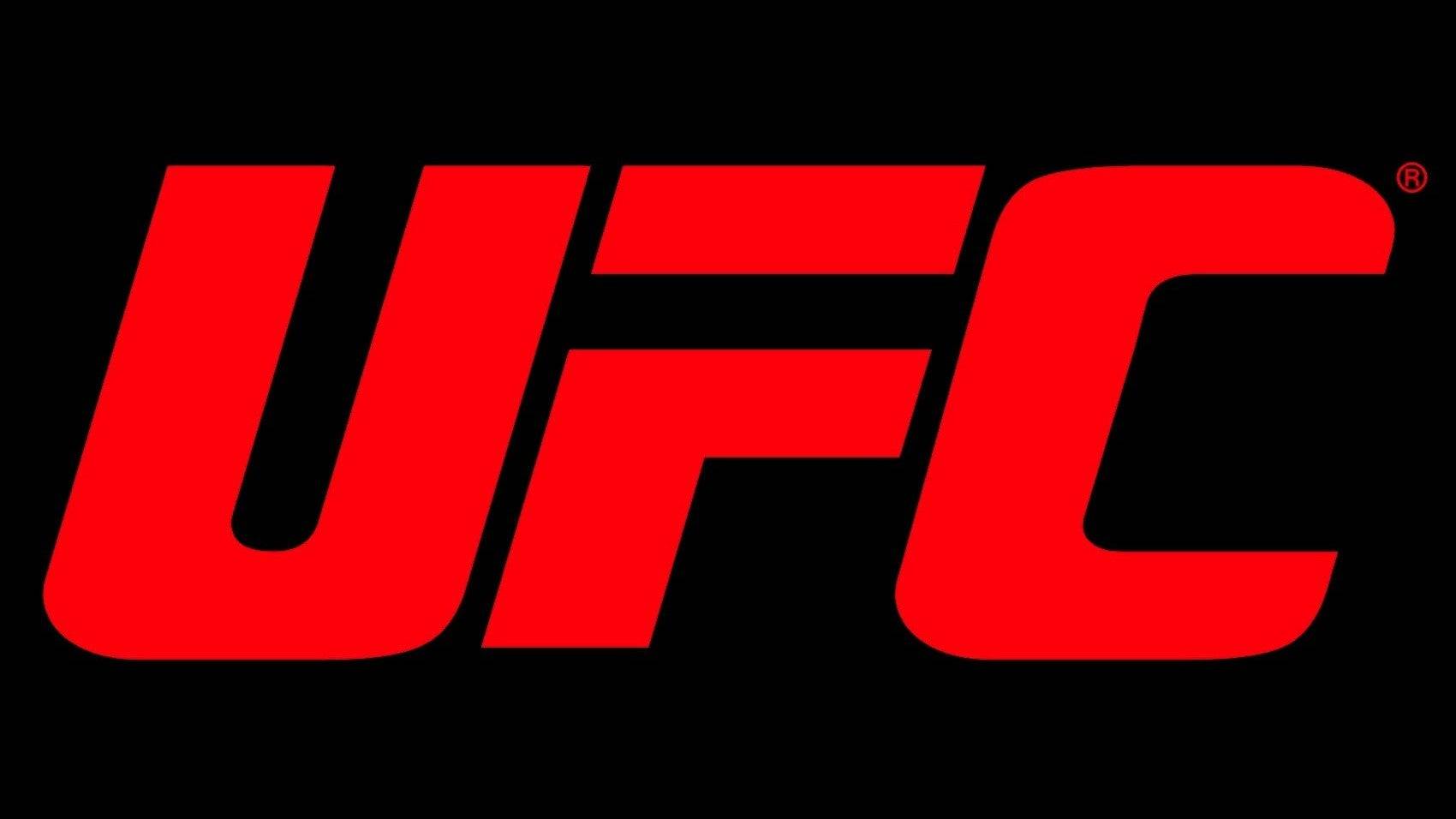 2025 UFC 일정