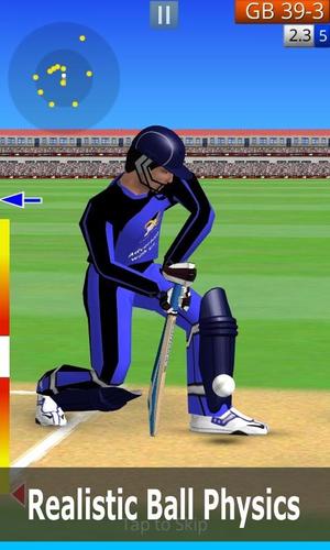 Smashing Cricket スクリーンショット 2