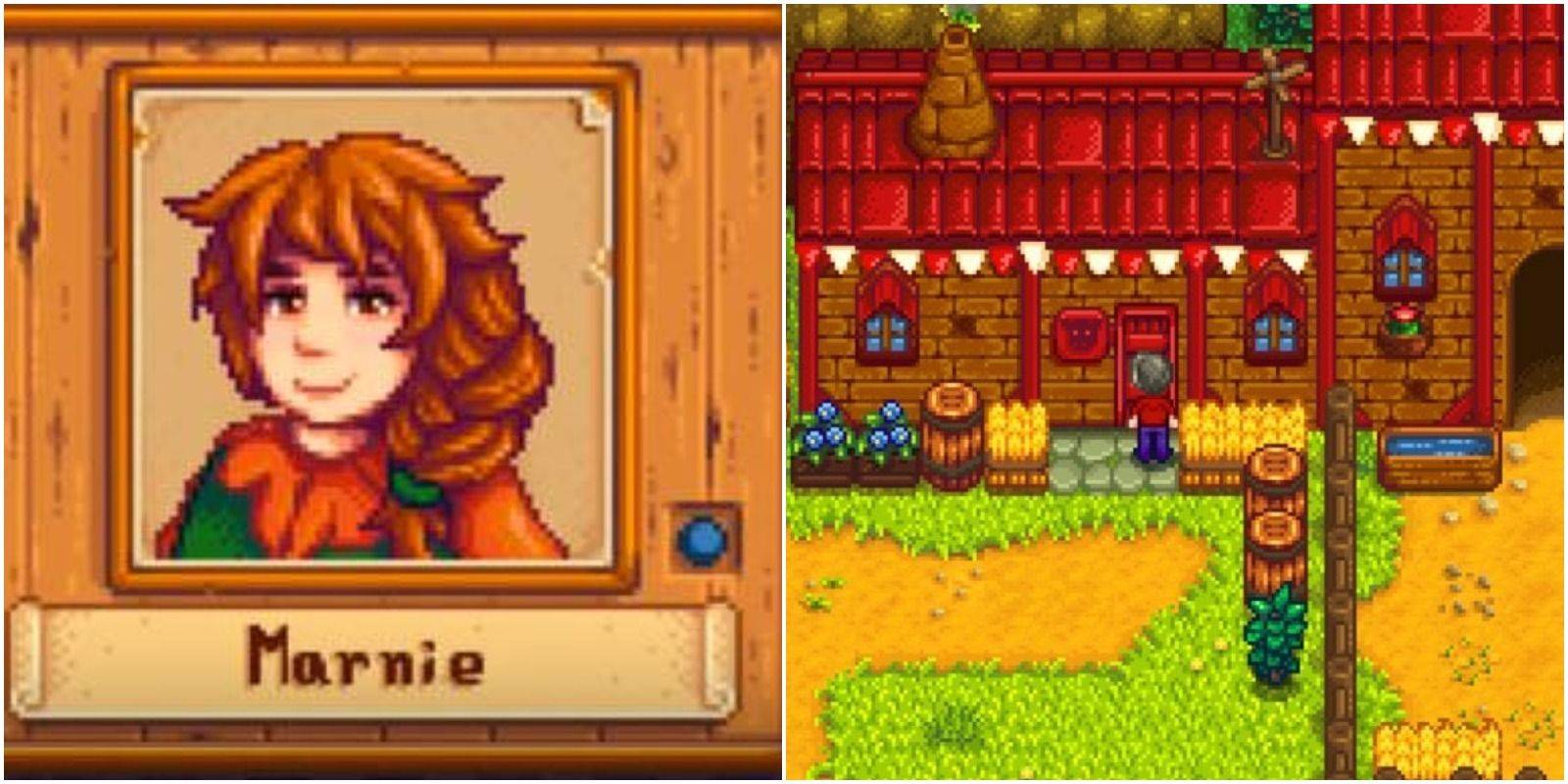 Stardew Valley：如何與瑪妮成為朋友