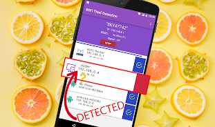 WiFi Thief Detection 螢幕截圖 0