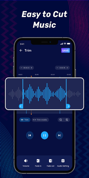 image:Voice Recording Interface