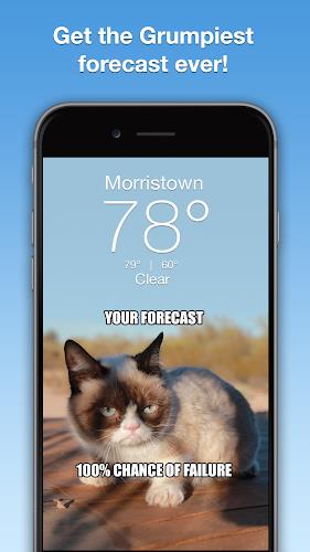 Grumpy Cat Weather 螢幕截圖 0