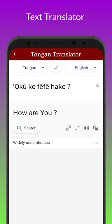 Schermata Tongan Translator 2