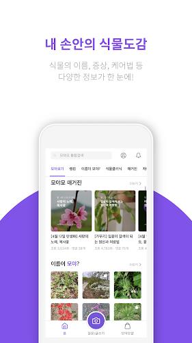 모야모 Screenshot 0