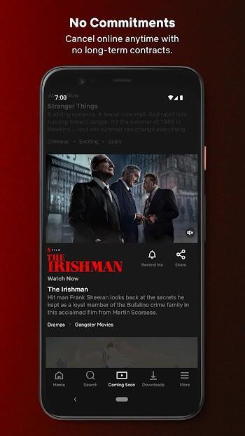 Netflix Screenshot 1