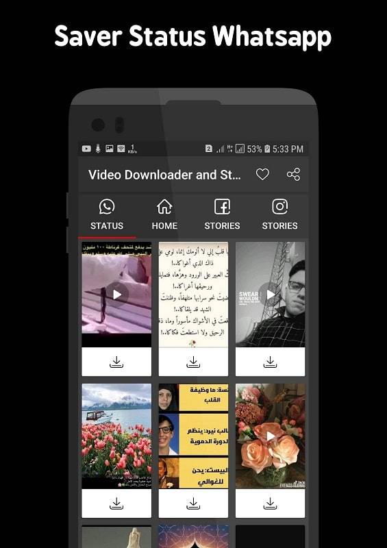 Video Downloader and Stories Zrzut ekranu 2