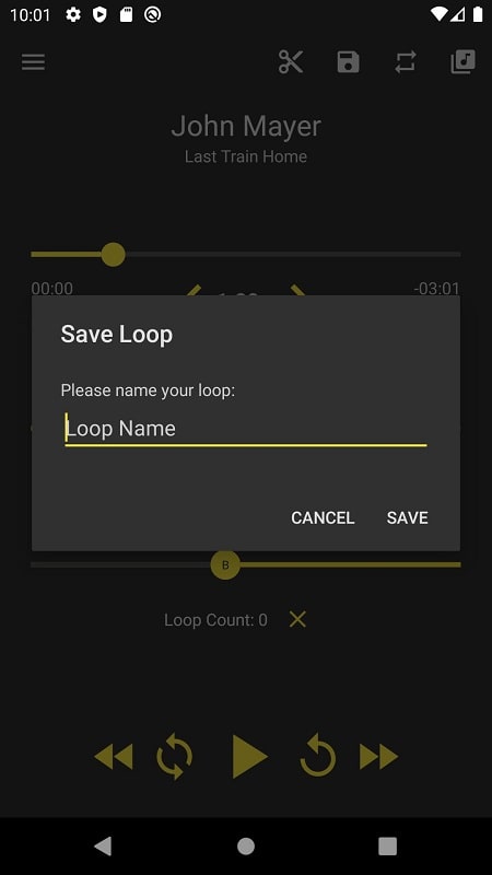 Loop Player Ekran Görüntüsü 2