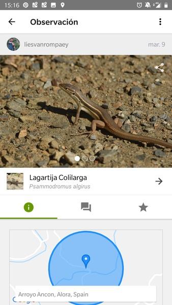 iNaturalist Tangkapan skrin 2