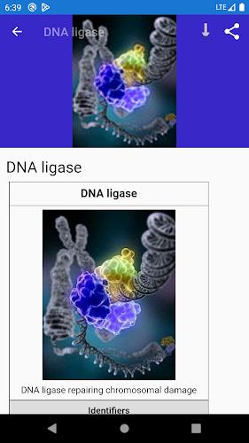 Molecular biology应用截图第2张