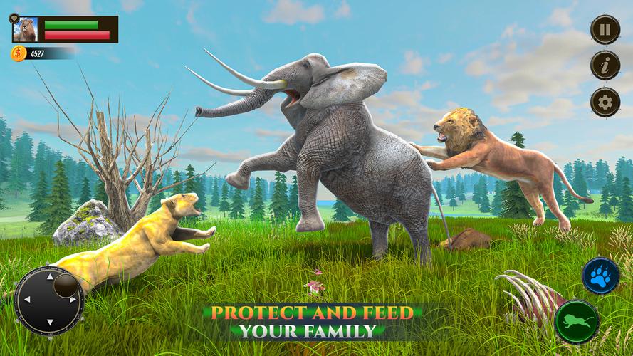 Jungle Kings Kingdom Lion Screenshot 1