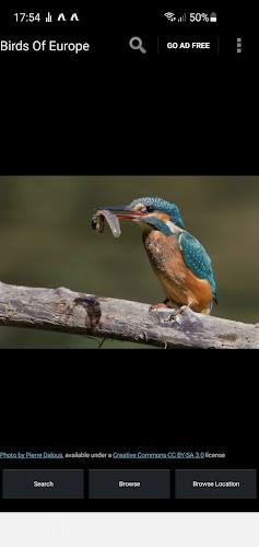 Birds Of Europe Guide ဖန်သားပြင်ဓာတ်ပုံ 0