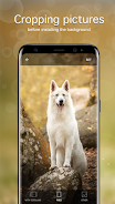 Dog Wallpapers & Puppy 4K Zrzut ekranu 3