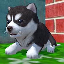 Cute Pocket Puppy 3D